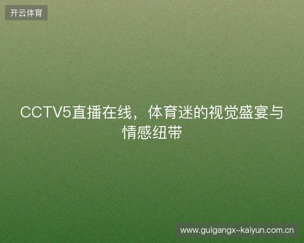 CCTV5直播在线，体育迷的视觉盛宴与情感纽带
